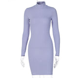 Victoria Ribbed Turtleneck Mini Dress