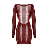 See-Through O-neck Long Sleeve Dress